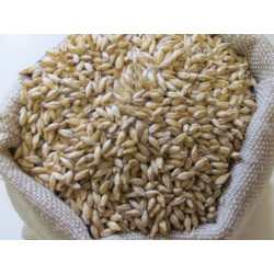 Malt d'orge grains Pale...