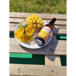 Bière Sour - Mangue 33cl