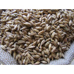 Malt grains Munich 15- 6RH