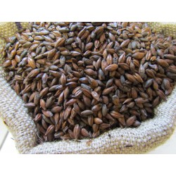 Malt grains d'orge chocolat