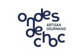 ONDES DE CHOC